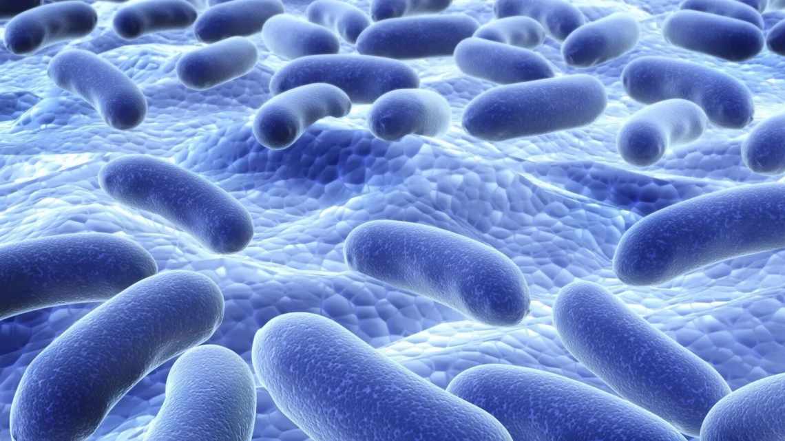 Полезные кишечные бактерии могут легко превращаться во вредные